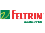 https://www.sementesfeltrin.com.br/